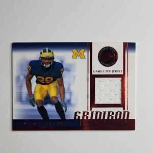 Leon Hall ~ 2007 PressProof ~ Game Used Jersey